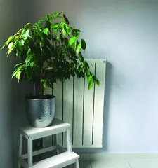 The reasons and solutions for the lack of green color in pothos leaves (exploring the fundamental issues causing pothos to lose its green color, helping you restore the beauty of your pothos)