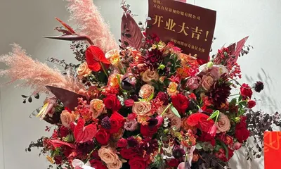 What flowers are most suitable for opening a company? (How to choose a flower gift? - Provide you with classic recommendations)