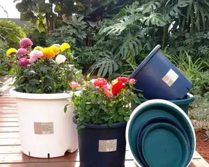What plants are suitable for root training pots (Understand root training pots and create a healthy plant home))