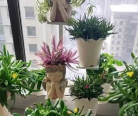 Flower bed art (Garden of Creativity, Infinite Inspiration)