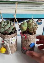 How to Insert Succulents into Bottles: Creative Bottle Succulent Insert Pot Making Methods and Techniques