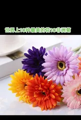 The Grand Floral Display of the World's Great Flowers (Exploring the Most Beautiful Large Floral Landscapes in the World)