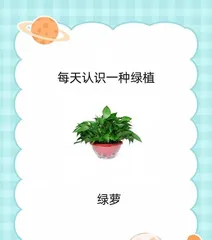 The sun exposure needs of pothos (reasonable sun exposure to allow pothos to grow healthily)