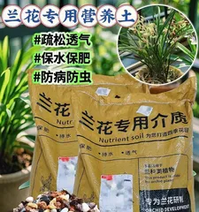 The Secret Formula for Growing Orchids Indoors (Creating an Ideal Growth Environment to Let Orchids Bloom Beautifully)