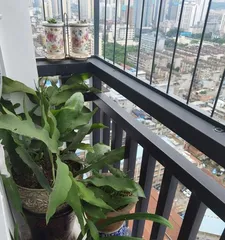 Amazing Uses of Gravel on Construction Sites – Orchid Propagation (Construction Waste Becomes Treasure, Environmental Protection Reaches New Heights, Orchids Win-Win, Gravel Exchanges Green)