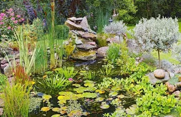 Plant Selection for the Edge of the Pond (Creating an Elegant Pond Edge Landscape)