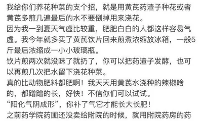 建兰如何浇水才健康？（养护建兰的小技巧及注意事项）2