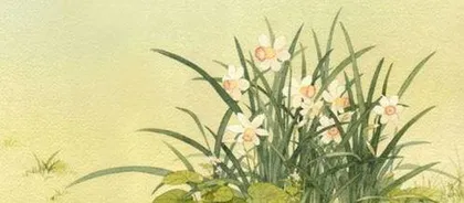 How to Prune Daffodils That Are Overgrown: A Comprehensive Guide to Professional Pruning Techniques