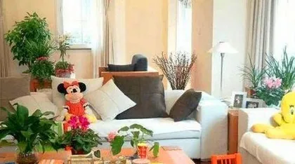 What kind of plants are good for a living room? Guide to placing plants in large spaces