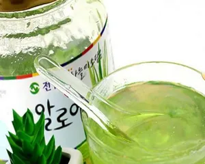 Can aloe vera be watered with tea water? (Exploring new ways to water aloe vera)