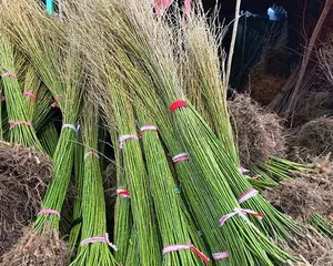 Planting Willow Trees to Create a Beautiful Courtyard (Why Choose Willows, How to Care for Them, How to Beautify the Courtyard?) 2