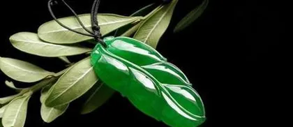 The Symbolic Meaning of Leaves (Revealing the Various Meanings Represented by Leaves)
