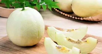 The Nature of Muskmelon (Exploring the Nutritional Value and Properties of Muskmelon)