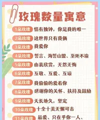 The meaning of 11 red roses (using the language of flowers to convey emotions, the profound implications behind red roses)