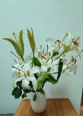 The environmental adaptability of roses (can they survive in air-conditioned rooms and air-conditioned environments?)
