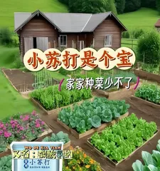 The effects and methods of using soda water to water plants (turning soda water into a good friend for plants, making flowers and plants grow more vigorously)