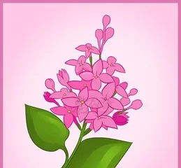 Blossom Pruning Guide (Essential Skill for Creating a Beautiful Garden)