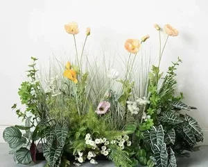 How to Grow Flowers Well in a Clothing Store (15 Suitable Flower Growing Methods for Clothing Stores)