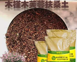 沙质土壤花卉养护指南（掌握关键因素，打造沙质土壤的园林梦想）2