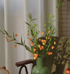 Good fortune and good omens - Exploring the language of flowers (Unveiling flowers that symbolize good fortune and their meanings)