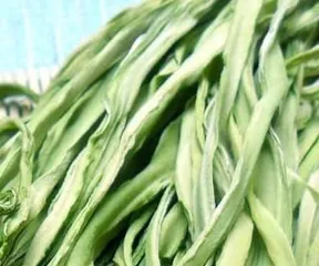 The best choice for Gongcai origin (start by finding the highest quality Gongcai from the origin)