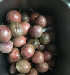 What exactly does passion fruit taste like? (Exploring the unique flavor characteristics of passion fruit)