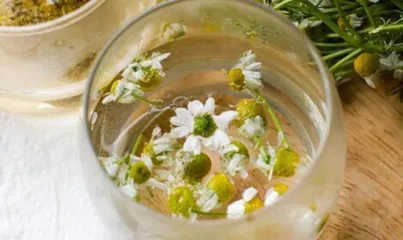 Unveiling the Nature of Chrysanthemums (Hot or Cold?) Analyzing TCM Wellness Common Knowledge
