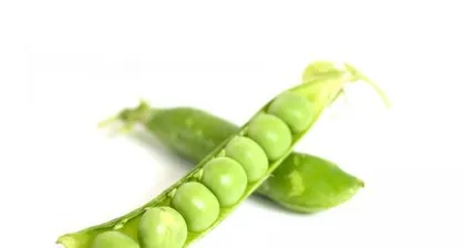 The sex of peas (Investigating whether peas are unisexual flowers)