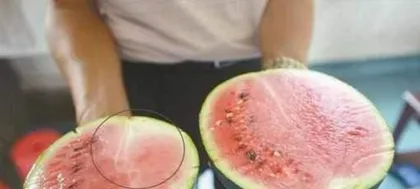 The Secret to Distinguishing Male and Female Watermelons (How to Tell Them Apart and Stop Buying the Wrong Ones)