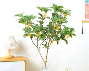 Essential for balcony wellness, plant a桂花 (Is osmanthus suitable for a balcony? Everything you need to know about the health benefits of osmanthus and its cultivation tips)