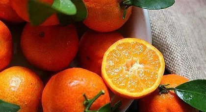 Exploring the best origin of lúgan (Where is the best lúgan to eat? How to pick the highest quality lúgan?)