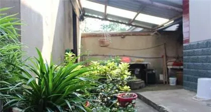 The plant arrangement directly facing the gate in the courtyard (Creating a beautiful gate starts with the right plants)