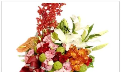 What flowers to send for a new home? | Flower Etiquette Guide