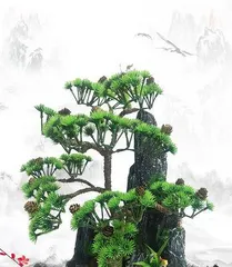 Pine trees (Why are pine trees the most suitable choice?)