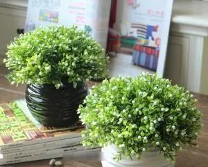 Milan Indoor Care Guide (Creating a Comfortable and Pleasant Indoor Green Environment, Improving Quality of Life) 3