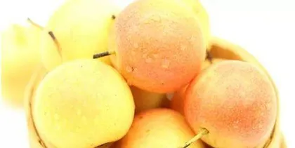 The sugar content of Nanogu梨 (Exploring the nutritional value and sugar composition of Nanogu梨)