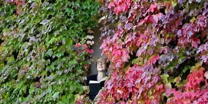 Is the juice of ivy poisonous? (Unveiling the mysterious face of ivy)