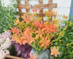 Hardy and drought-tolerant flower varieties (15 types of flowers suitable for planting in northern arid and cold regions)