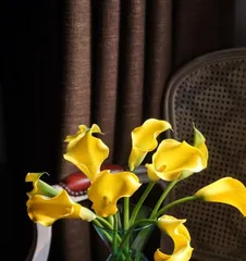 A beautiful flower similar to the calla lily (searching for the mysterious flowers in the sea of flowers)