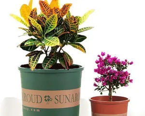 Gallon Pot Planting Guide (Choosing Suitable Plants for Your Home Garden)