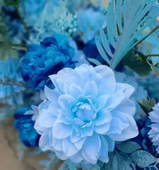 Blue flowers, the beauty of the sky (exploring the world's most beautiful blue flowers, praising the magic of nature)
