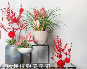 The Beautiful World of Bonsai Flowers (Exploring the Secrets of Bonsai Flower Beauty)