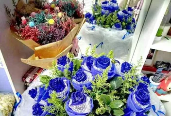 The meaning of blue rose flowers (the only mysterious blue flower meaning)