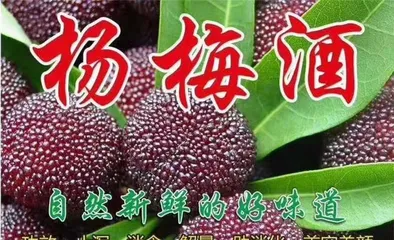 Lanxi Yangmei Ripening and Market Availability Schedule