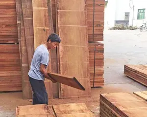 Discover the wonders of Boxwood: Characteristics and Uses of This Precious Wood (From Growth Environment to Furniture Making, A Comprehensive Understanding of Boxwood)
