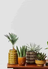 The Path of Plants in the Finance Room (Creating a Green Finance Room, Let Plants Work for You)