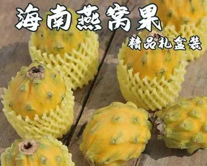 Exploring the colorful world of tropical fruits in Hainan (Hainan Fruits, the crème de la crème of tropical fruits)