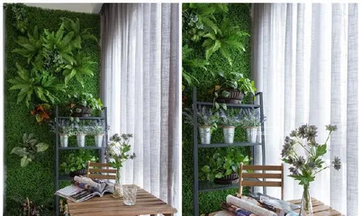 The Benefits of Plants in Restaurants (Creating a Comfortable Dining Environment)