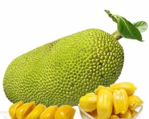 The Origin and History of Pineapple's Specialty Producing Areas (Exploring the Native Place and Cultural Background of Pineapple)