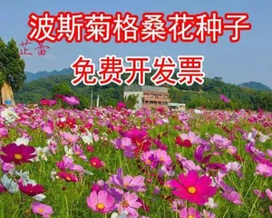 The best time to plant cosmos (master the right months for cosmos to bloom as desired)